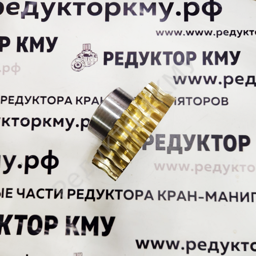 Шестерня червячная бронзовая редуктора поворота TADANO 220/290